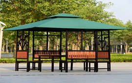 Şanlıurfa Park Bahçe Kamelyaları